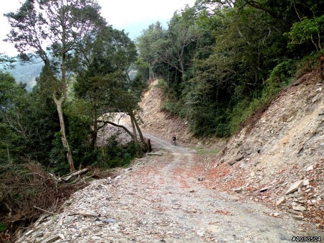 沙溪林道路不通,轉戰多納林道去!