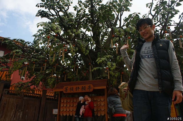 [香港] 虎年港澳遊‧第2天昂坪360纜車‧滿記甜品‧東薈城 Outlet‧香港迪士尼歡樂世界‧青衣城