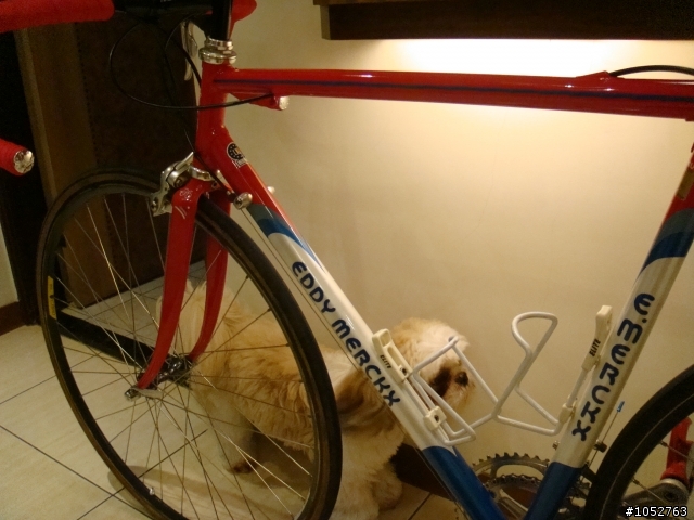 1992 EDDY MERCKX motorola MX Leader