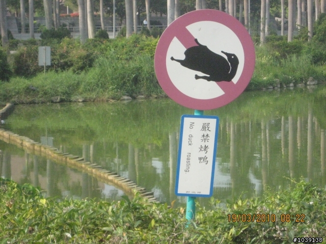 好扯的警示牌