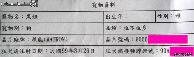 ～拉拉黑妞已找到新主人疼愛囉！