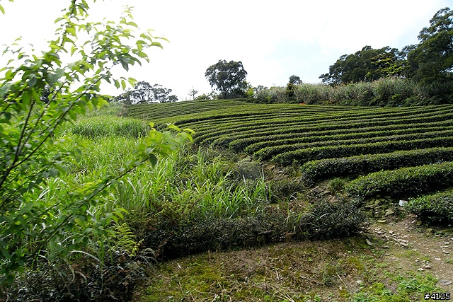 2010 GARMIN 327 台九線北宜橫斷巡遊記