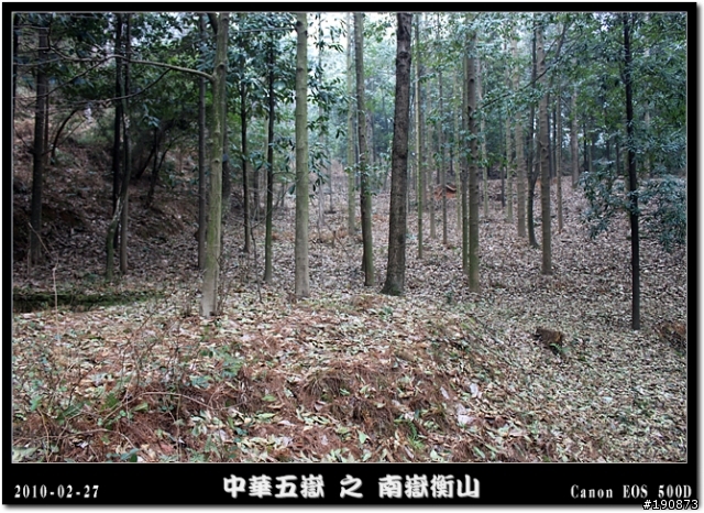 [遊記] 探訪五嶽獨秀 南嶽衡山