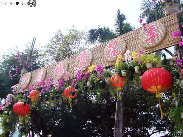 來~ 走春賞花去 台南公園
