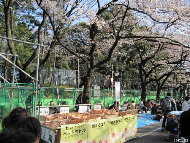 ☆ 賞櫻 in 東京上野公園 (圖多)