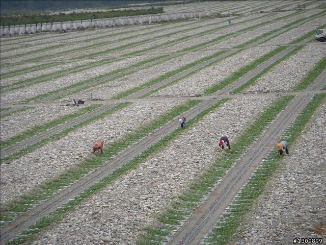 NeverStop 2010洄瀾極限挑戰300K，原來我可以。