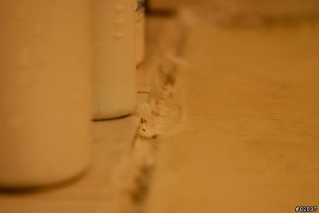 [分享]浴缸發霉別煩惱 免刷免洗弄到好