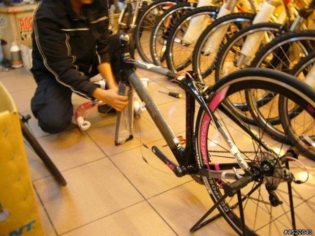女王的第一台公路車2010 GIANT  AVAIL AD