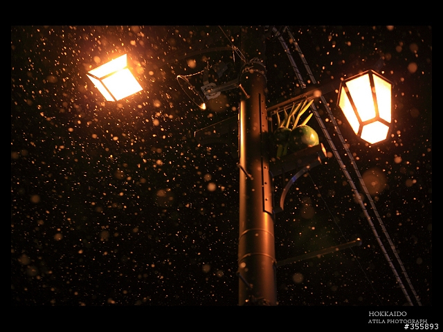 [5DII] 2010.HOKKAIDO.北海道.雪