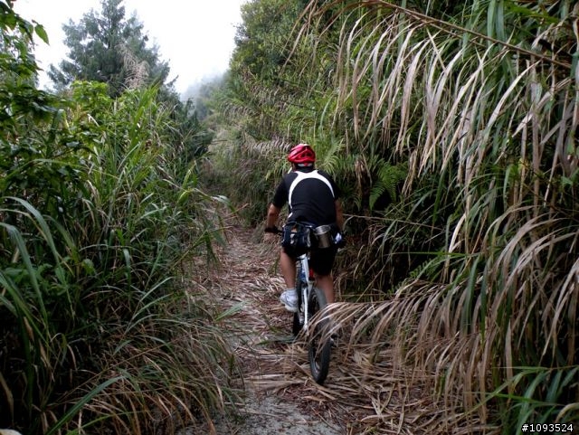 沙溪林道路不通,轉戰多納林道去!