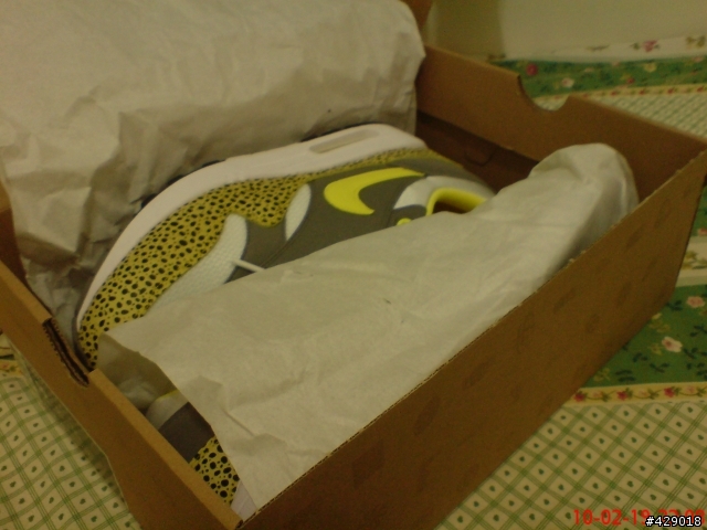 分享  AIR  MAX  黃蟾蜍