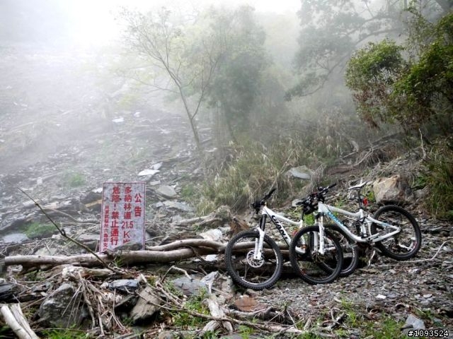 沙溪林道路不通,轉戰多納林道去!