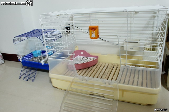 我家的霸道小兔兔"陳阿毛"的新家登場啦~~