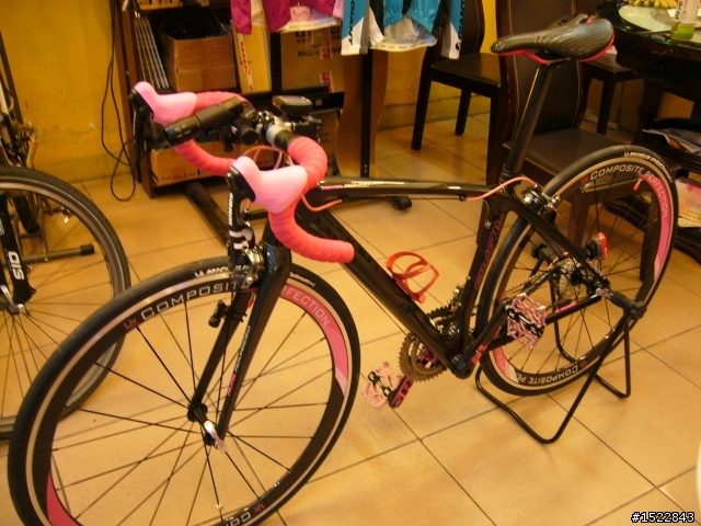 女王的第一台公路車2010 GIANT  AVAIL AD