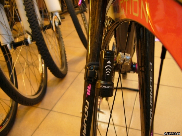 女王的第一台公路車2010 GIANT  AVAIL AD