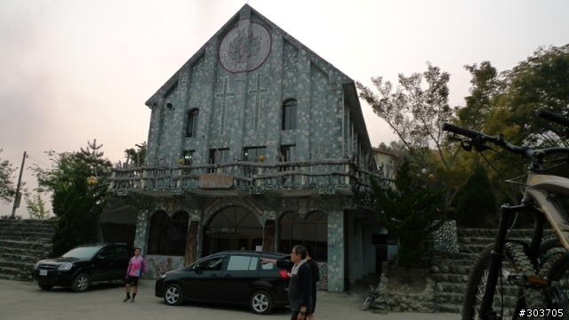 鎮西堡神木群B區之旅