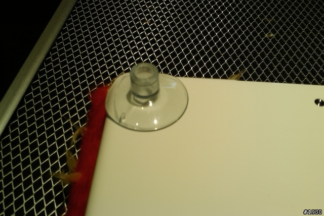 [分享]MacBook的foof內袋以及超便宜散熱方案