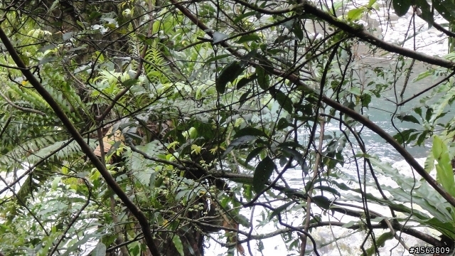 [遊記]單車哈盆越嶺----福山植物園