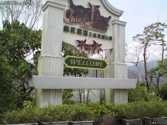 3/13 獨跑大埔~楠西7-11 到 大埔加油站路況簡報!!