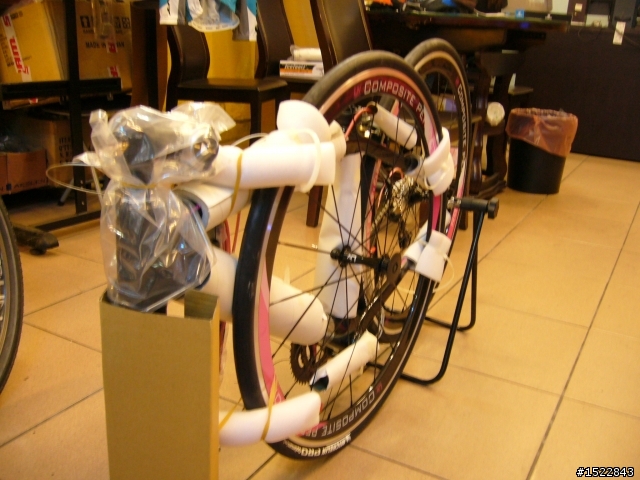 女王的第一台公路車2010 GIANT  AVAIL AD