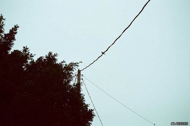 LEICA R4 x 柯達 電影底片 <分享>