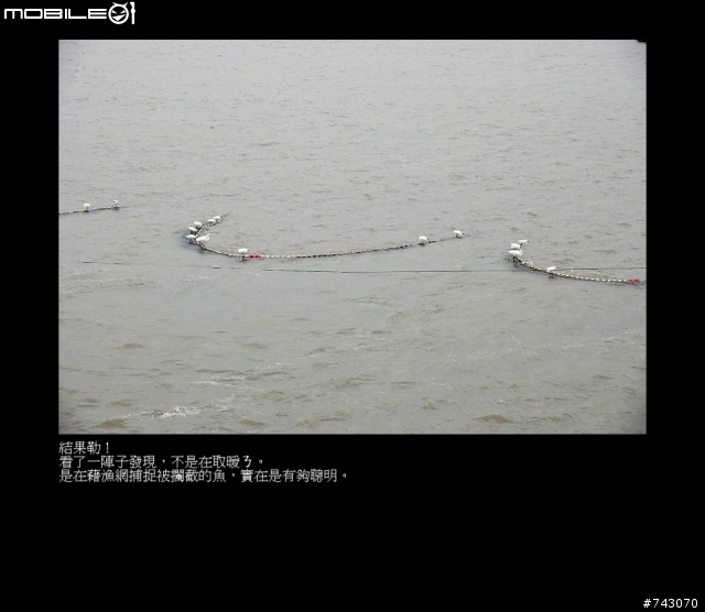2010.02.12~02.20(9日環島)~冷.濕~圖多~D1--D4