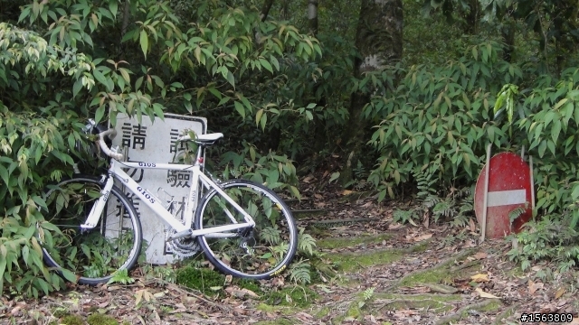 [遊記]單車哈盆越嶺----福山植物園
