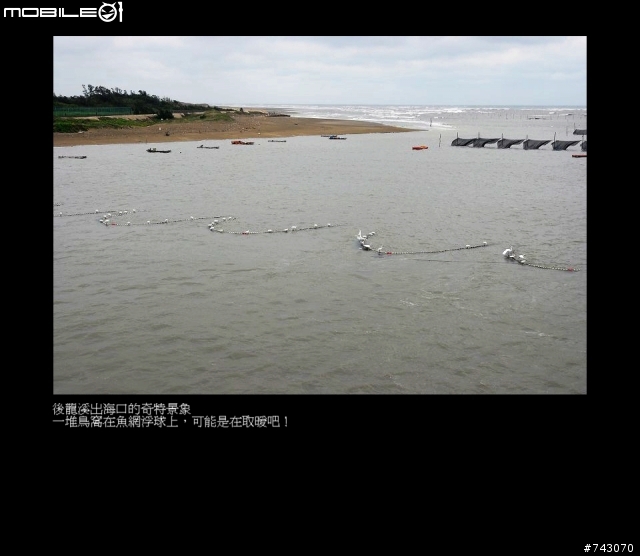 2010.02.12~02.20(9日環島)~冷.濕~圖多~D1--D4