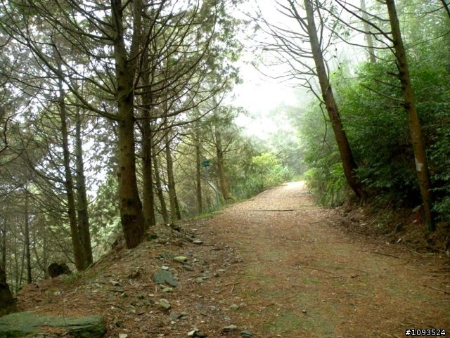 沙溪林道路不通,轉戰多納林道去!