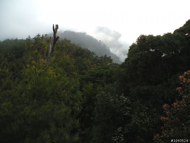 南橫還是"難橫"的中之關古道