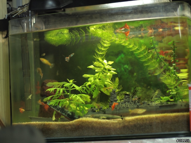 EP1轉接手動鏡隨意拍拍