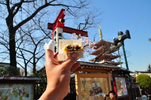願望達成~東京自由行(圖、文多，慎入)