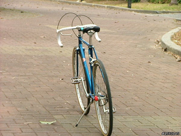 我的單速鋼管車