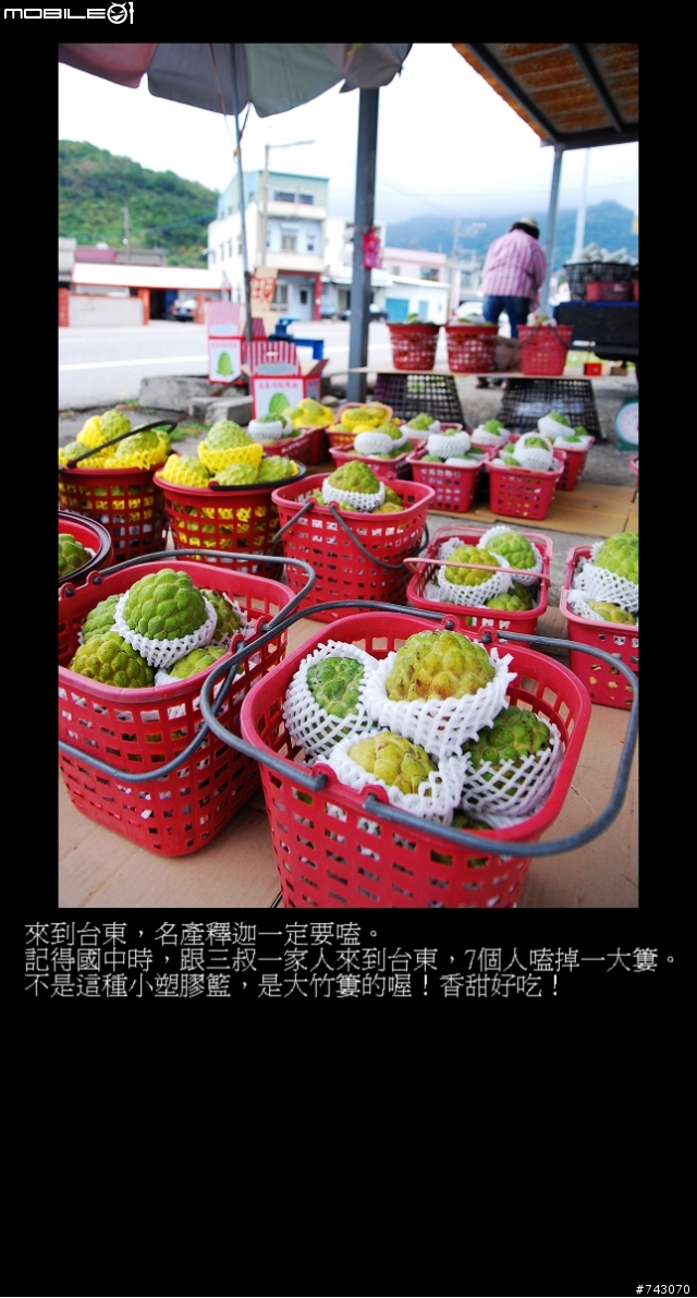 2010.02.12~02.20(9日環島)~冷.濕~圖多~D1--D4
