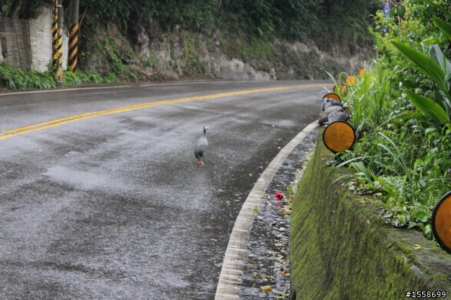 牽車也要到目的地的3月環島行