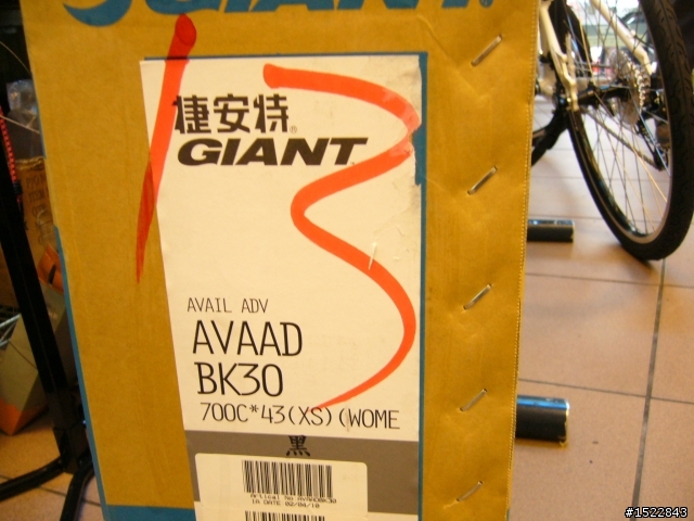 女王的第一台公路車2010 GIANT  AVAIL AD