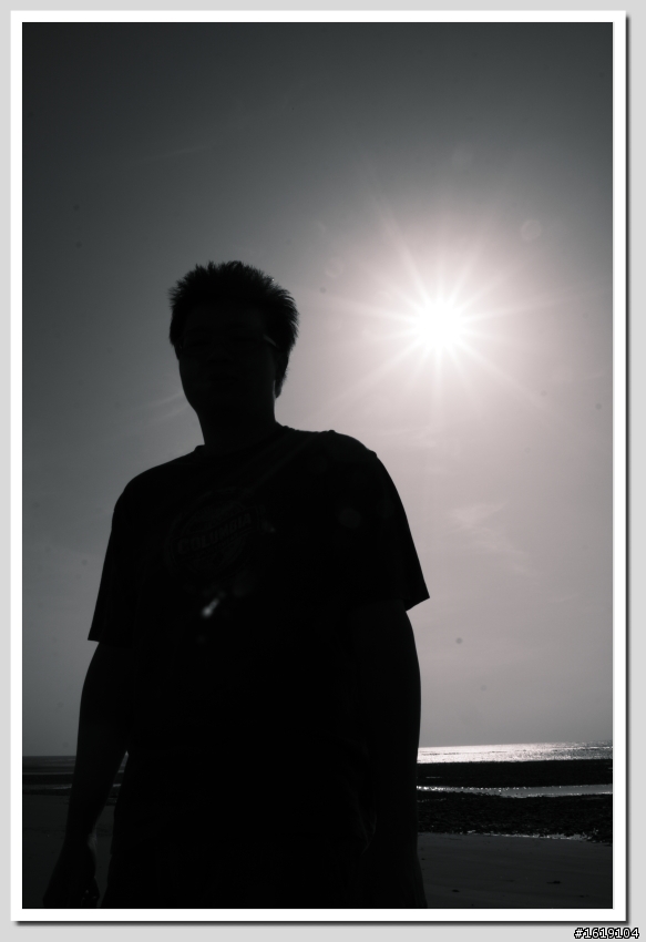 17-40，逆光星芒試拍