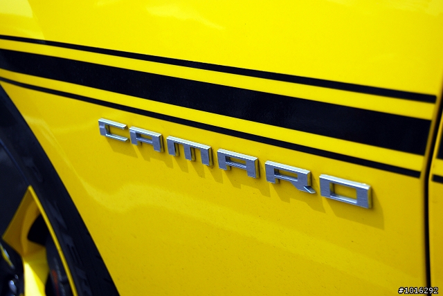 575、大黃蜂&R35 in夢時代