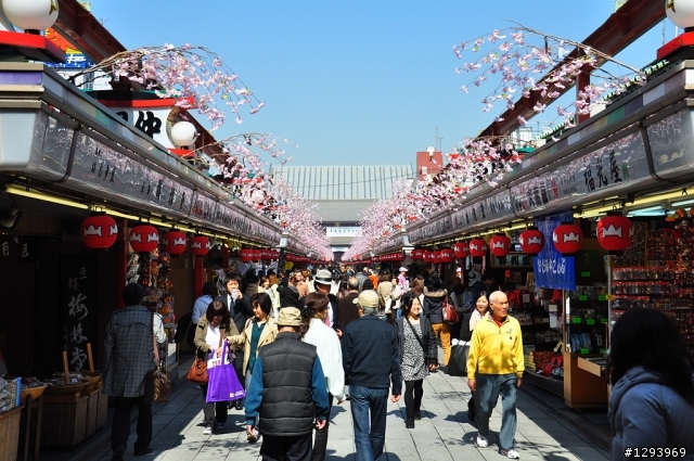 願望達成~東京自由行(圖、文多，慎入)