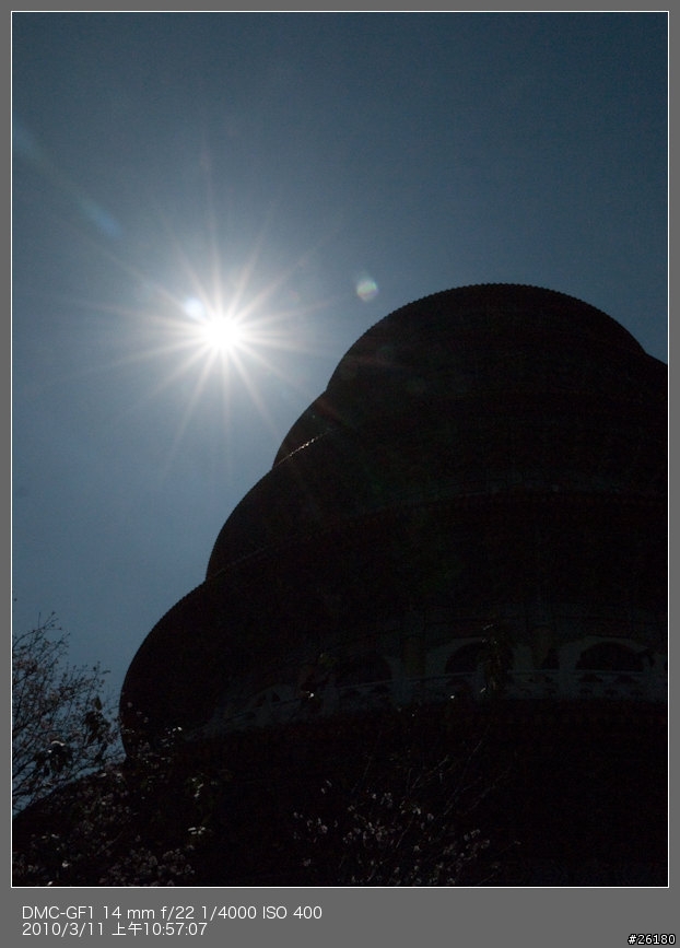 偷得半日閒－20100311天元宮櫻花