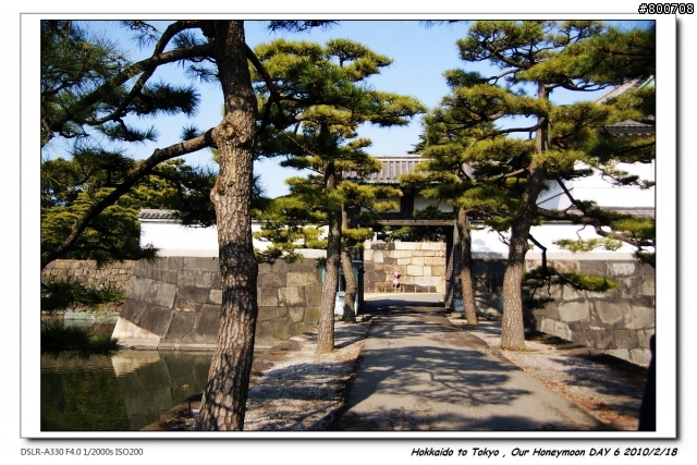 (圖多請慎入) [遊記] 日本蜜月之旅 , DAY 6 - 東京
