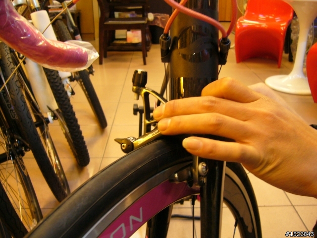 女王的第一台公路車2010 GIANT  AVAIL AD