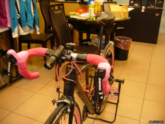 女王的第一台公路車2010 GIANT  AVAIL AD