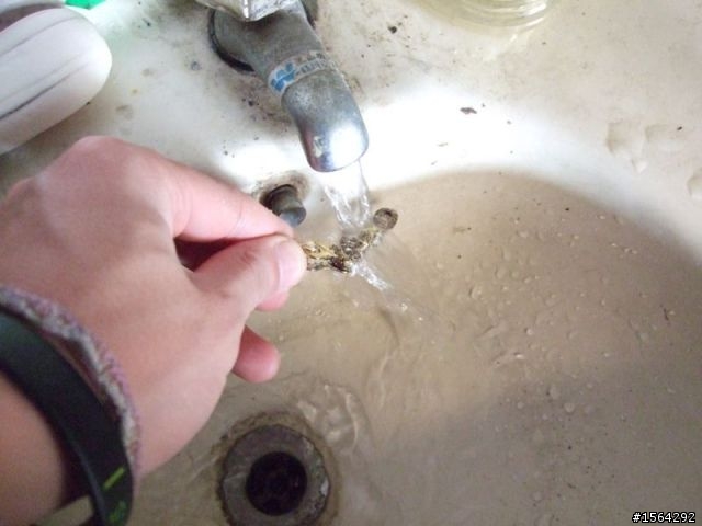 生猛海水浸泡抗鏽力實驗 終了