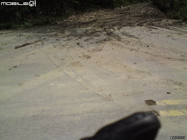 3/13 獨跑大埔~楠西7-11 到 大埔加油站路況簡報!!