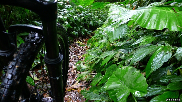 [遊記] 烏來雨中單車越野樂....卡拉莫基步道+哈盆越嶺古道(半程)