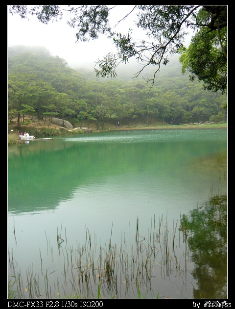 五指山滿桐花&新山夢湖
