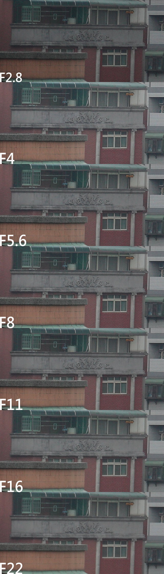 LEICA R 100mm F2.8 macro ROM 無敵兔測試...