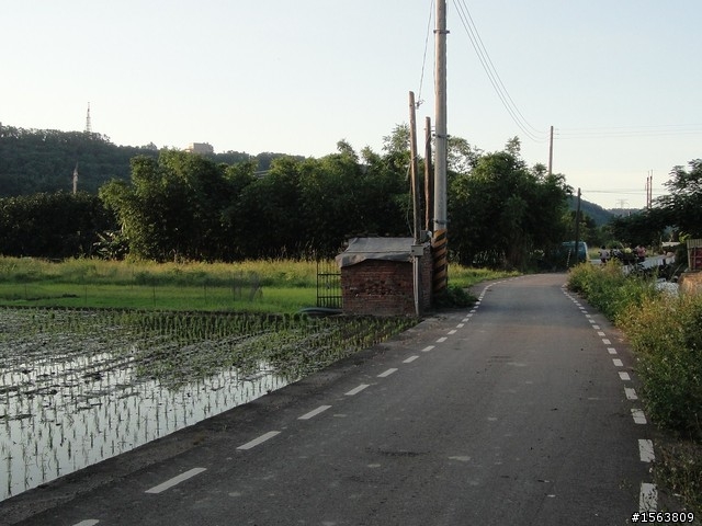 [遊記]路上有烏龜---與女王騎車趣