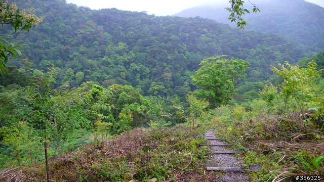 [遊記] 烏來雨中單車越野樂....卡拉莫基步道+哈盆越嶺古道(半程)